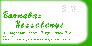 barnabas wesselenyi business card